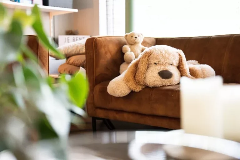 Changes GGZ Halsteren Eetstoorniskliniek Woonkamer