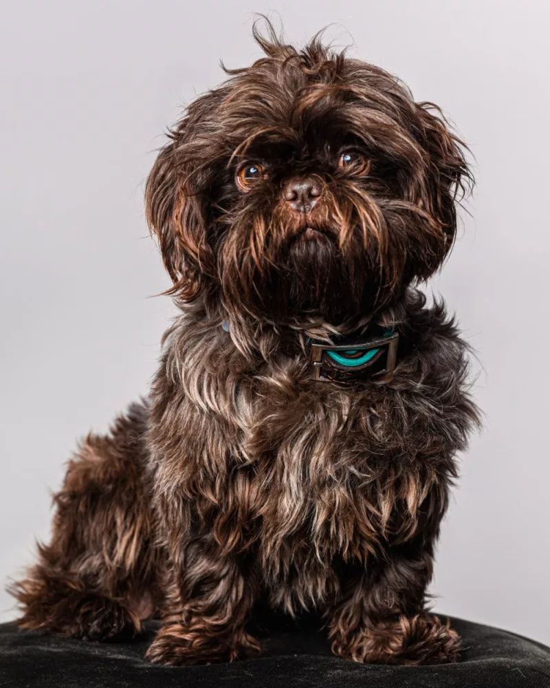 Sjefke Changes GGZ Weert Promentis