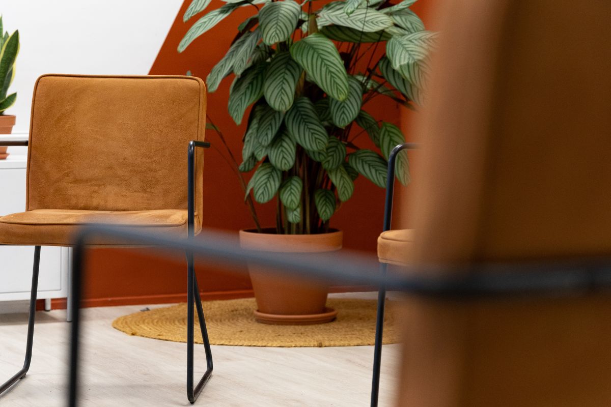 vacature-verpleegkundig-specialist